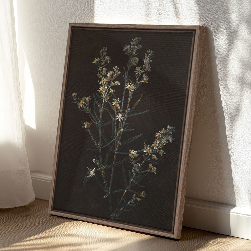Toile - Fleur d'argent