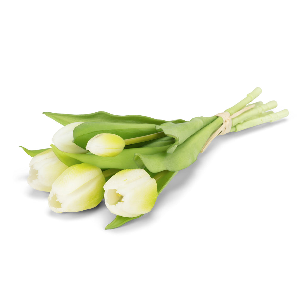 Tulipes réalistes - Blanches