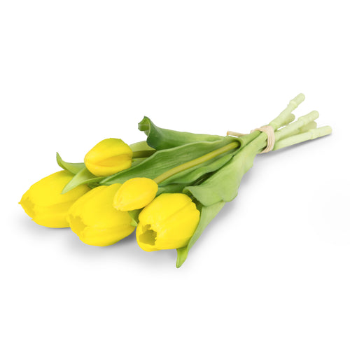 Realistic tulips - Yellow