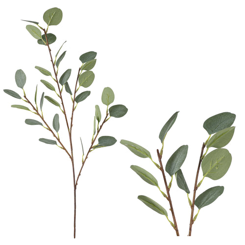 Branche d'eucalyptus - 31"||Eucalyptus branch - 31"