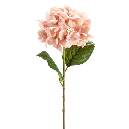 Bouquet d'hortensia rose||Pink hydrangea bouquet