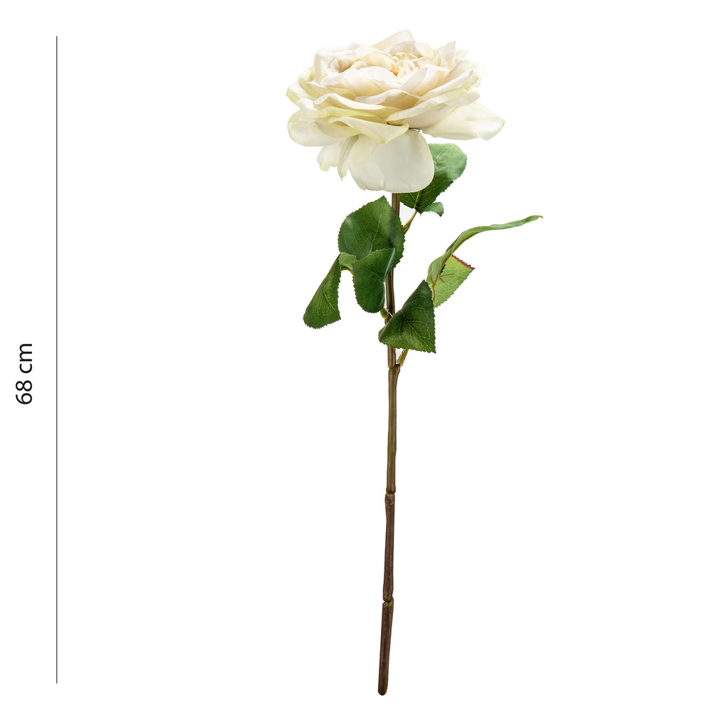 Tige de rose - Crème