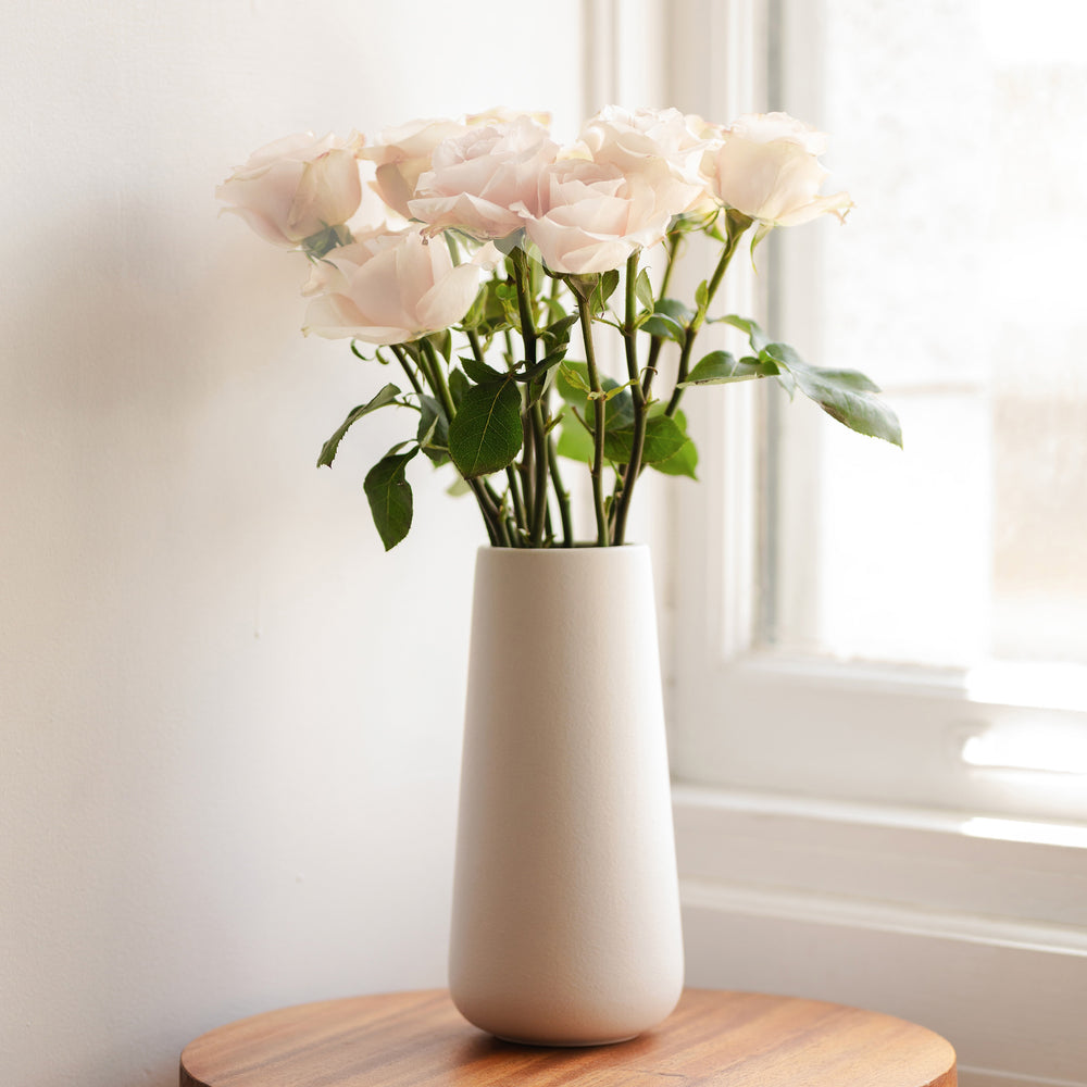 Tige de rose - Crème