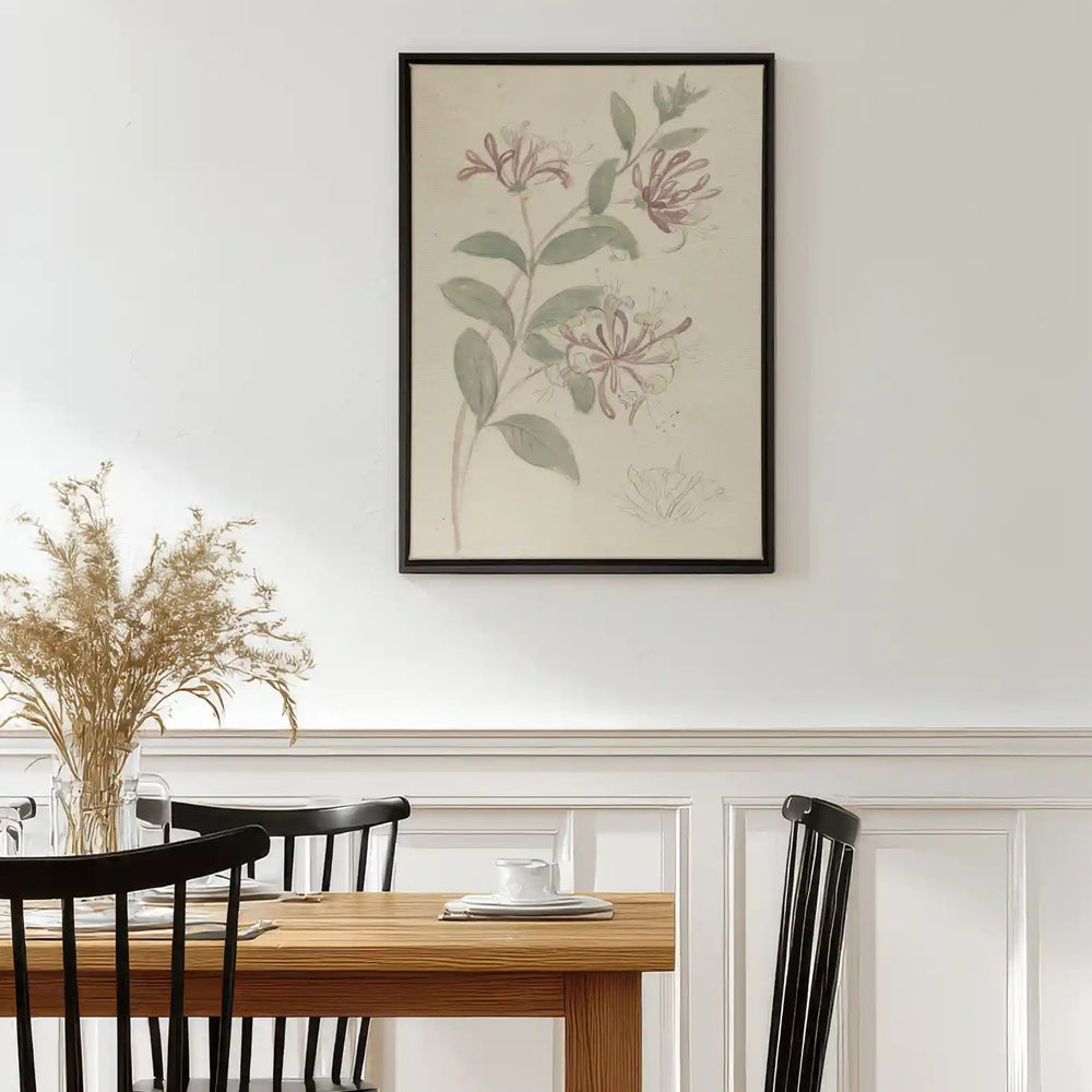 Toile - Vintage vine