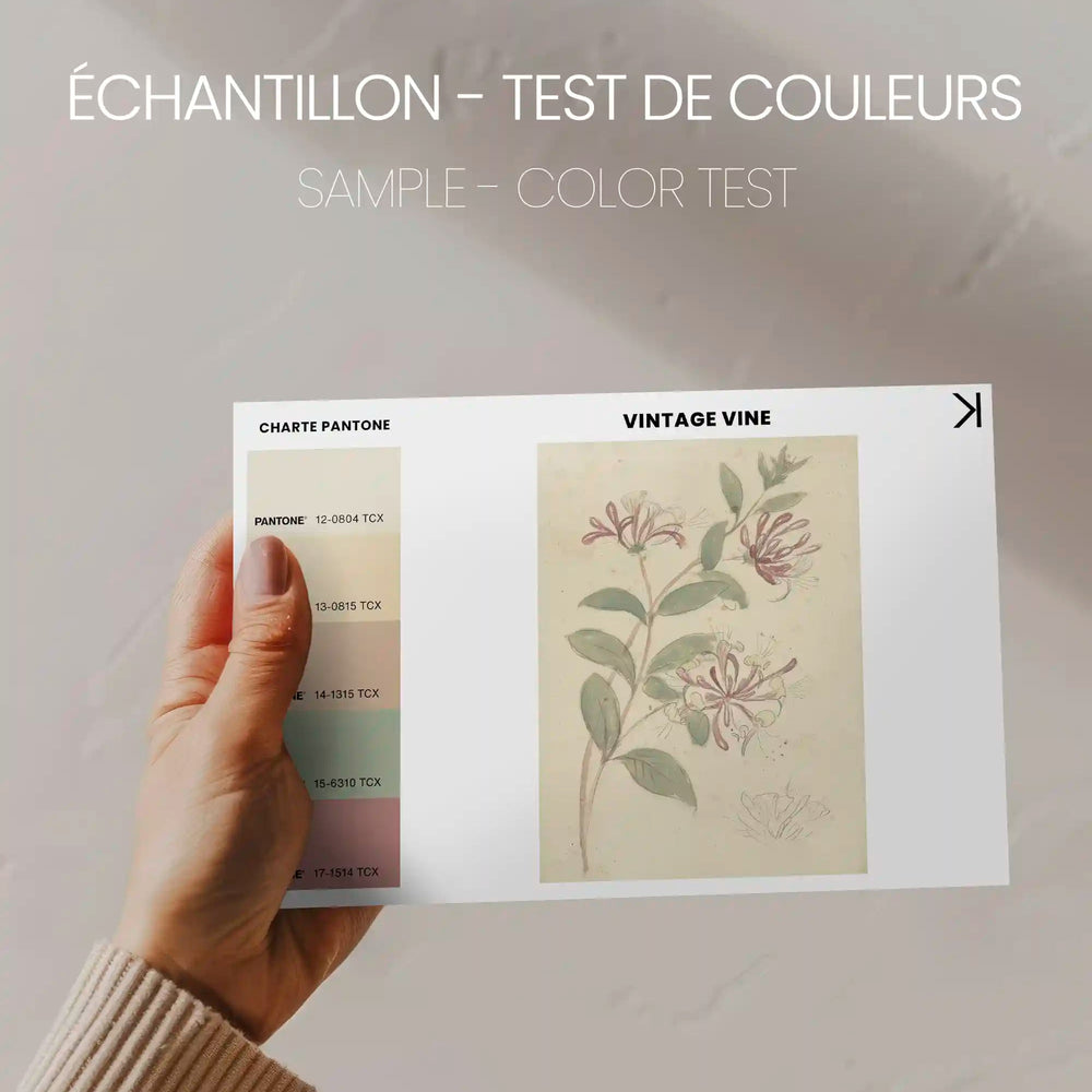 Toile - Vintage vine