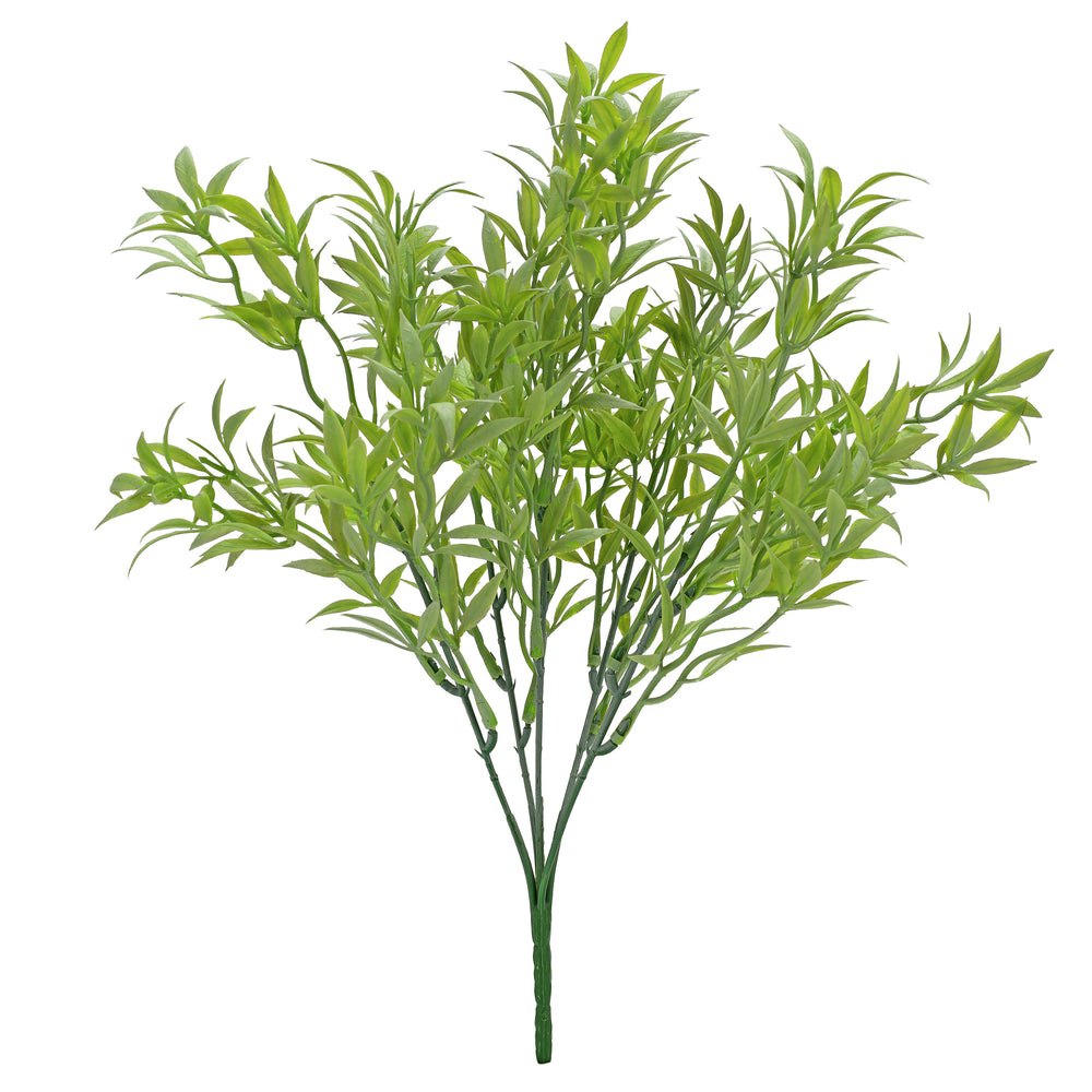 Bouquet de feuillage - Ruscus