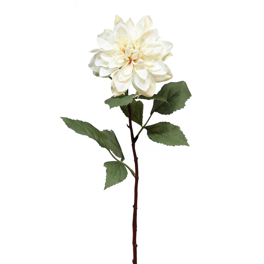 Tige de dahlia - Crème