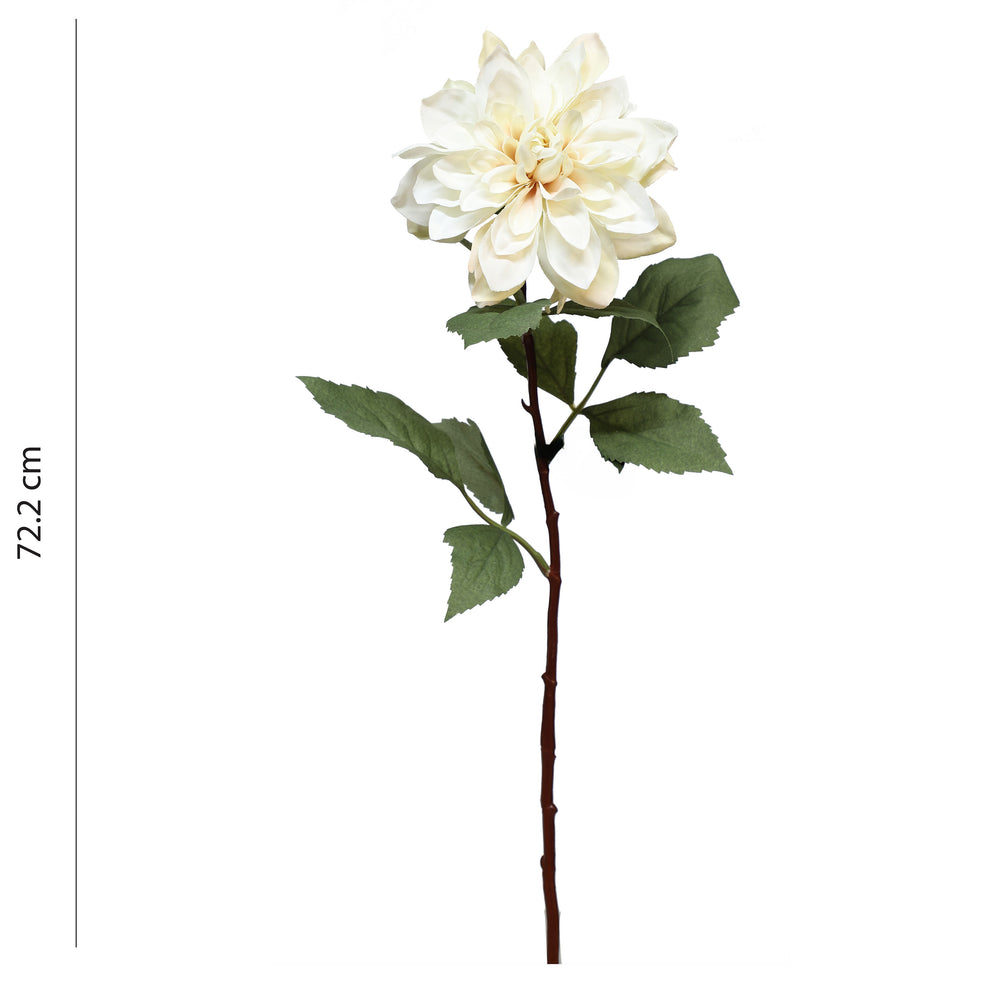 Tige de dahlia - Crème