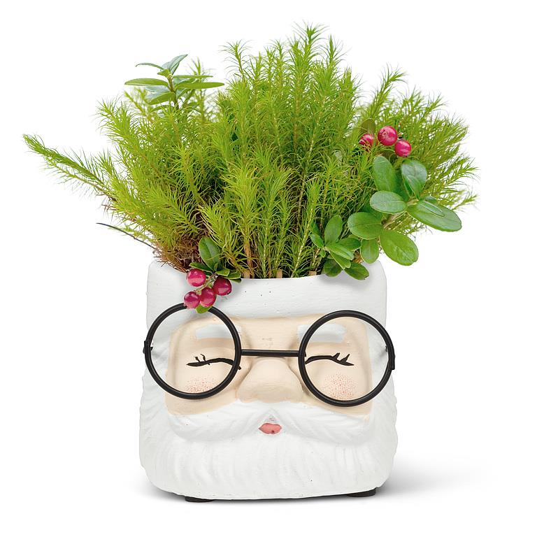 Petit cache-pot Père Noël à lunettes