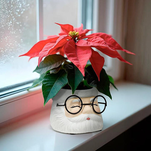 Petit cache-pot Père Noël à lunettes