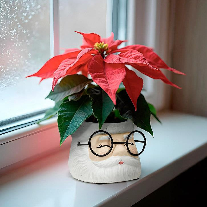 Petit cache-pot Père Noël à lunettes