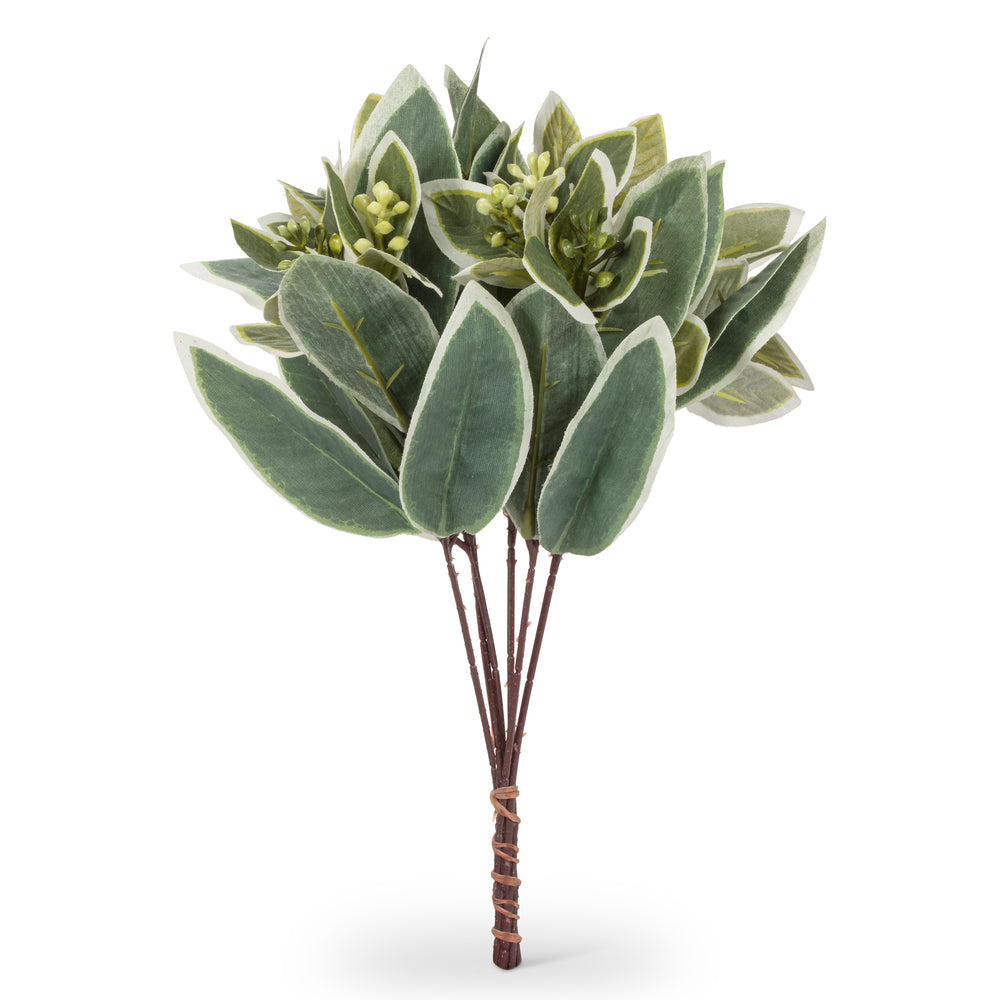 Bouquet de feuilles vertes - Panachées