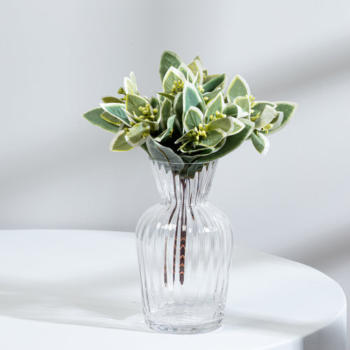 Bouquet of green leaves - Variegated