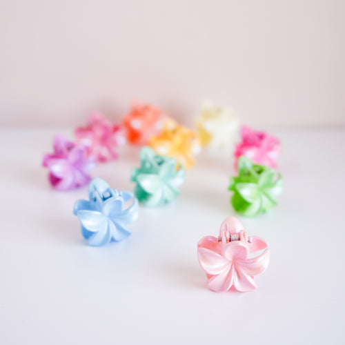 Pinces à cheveux - Fleurs multicolores