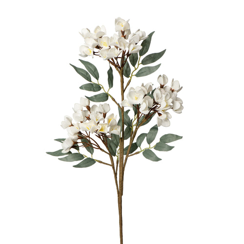 Tige de fleurs de cerisier blanches