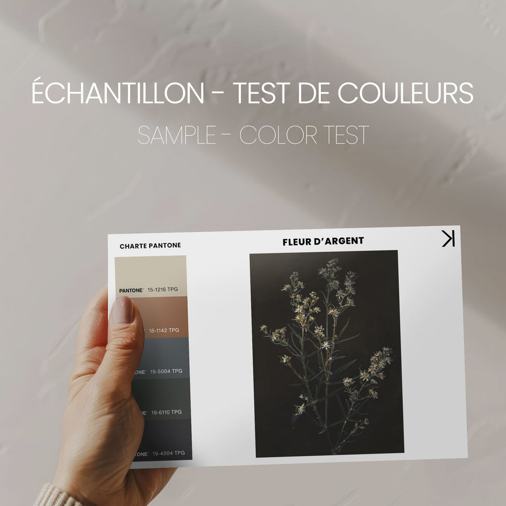 Toile - Fleur d'argent