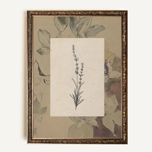 Toile vintage - Sacred flora