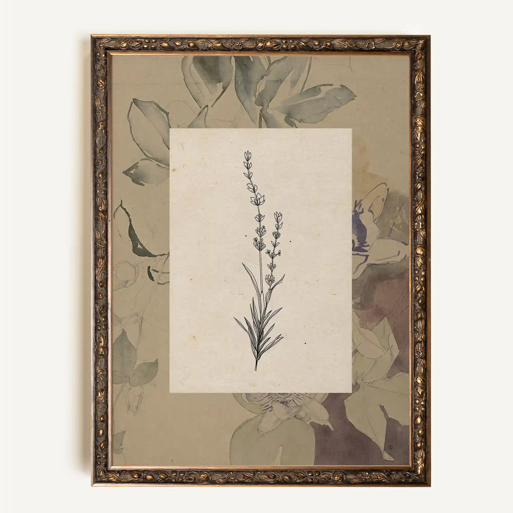 Toile vintage - Sacred flora
