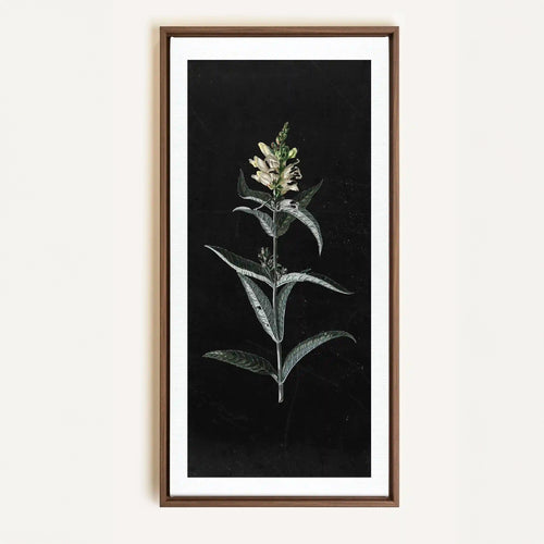 Toile - Guardian Bloom