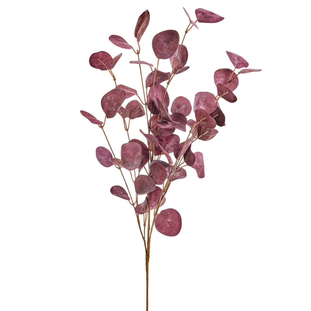 Branche d’eucalyptus artificielle – Bourgogne