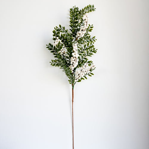 Branch of leaves - White berries