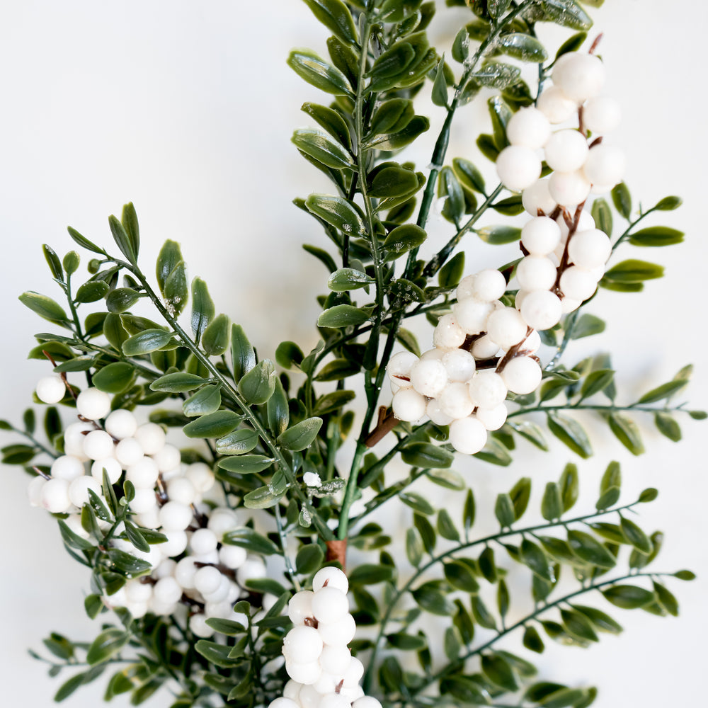Branche de feuilles - Baies blanches