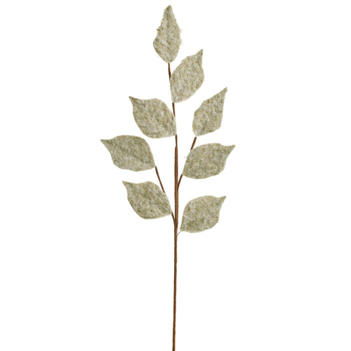 Leaf stem - Sage