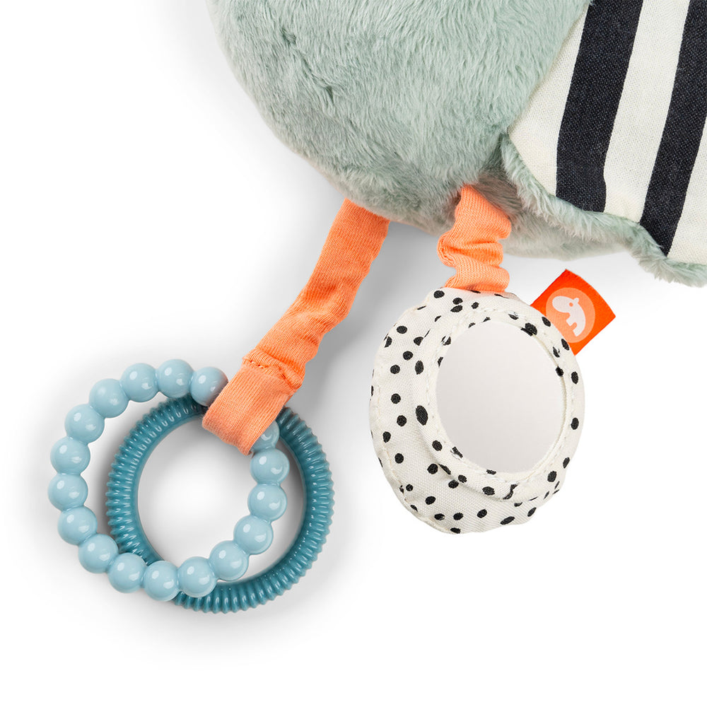 Sensory toy - Birdee