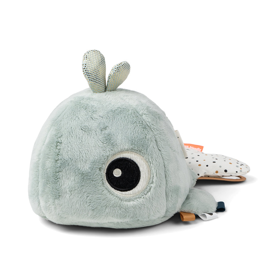 Hide-and-seek activity toys - Wally Blue
