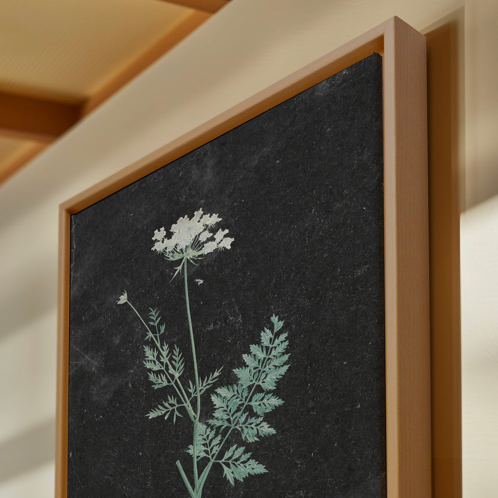 Toile - Dentelle sauvage