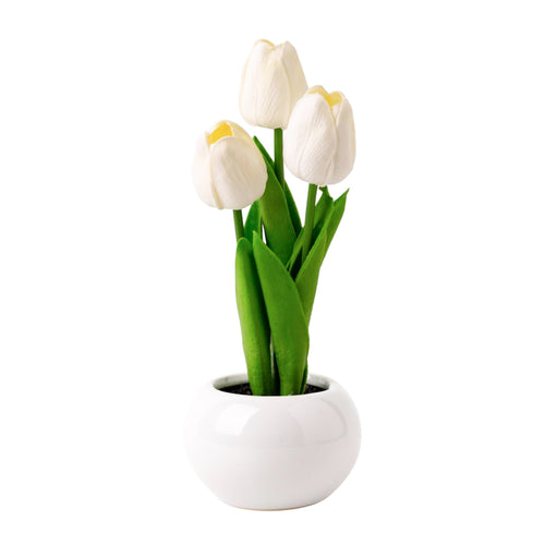 Pot avec tulipes - Blanc