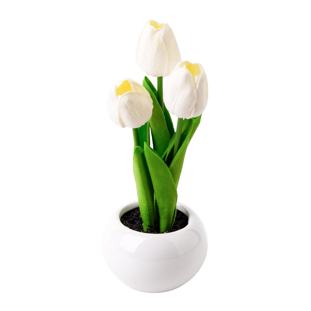 Pot with tulips - Gray
