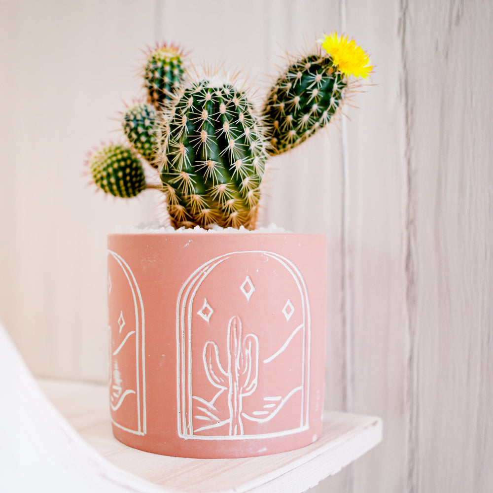 Mini pot à motifs - Cactus