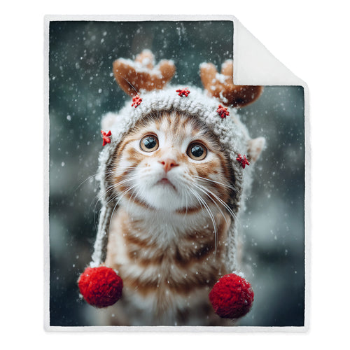 Jeté - Chat de Noël