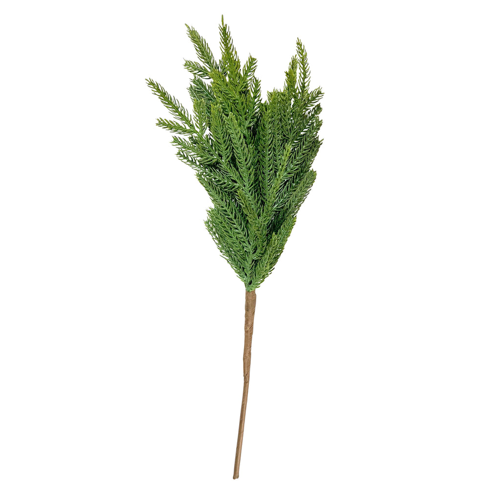 Branche de pin réaliste