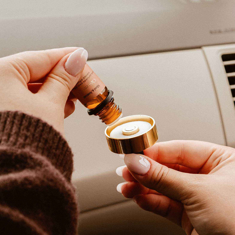Car diffuser - Mushroom