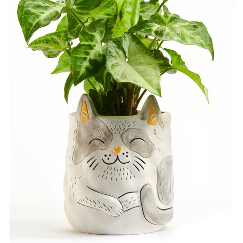 Cache-pot - Chat||Planter cover - Cat