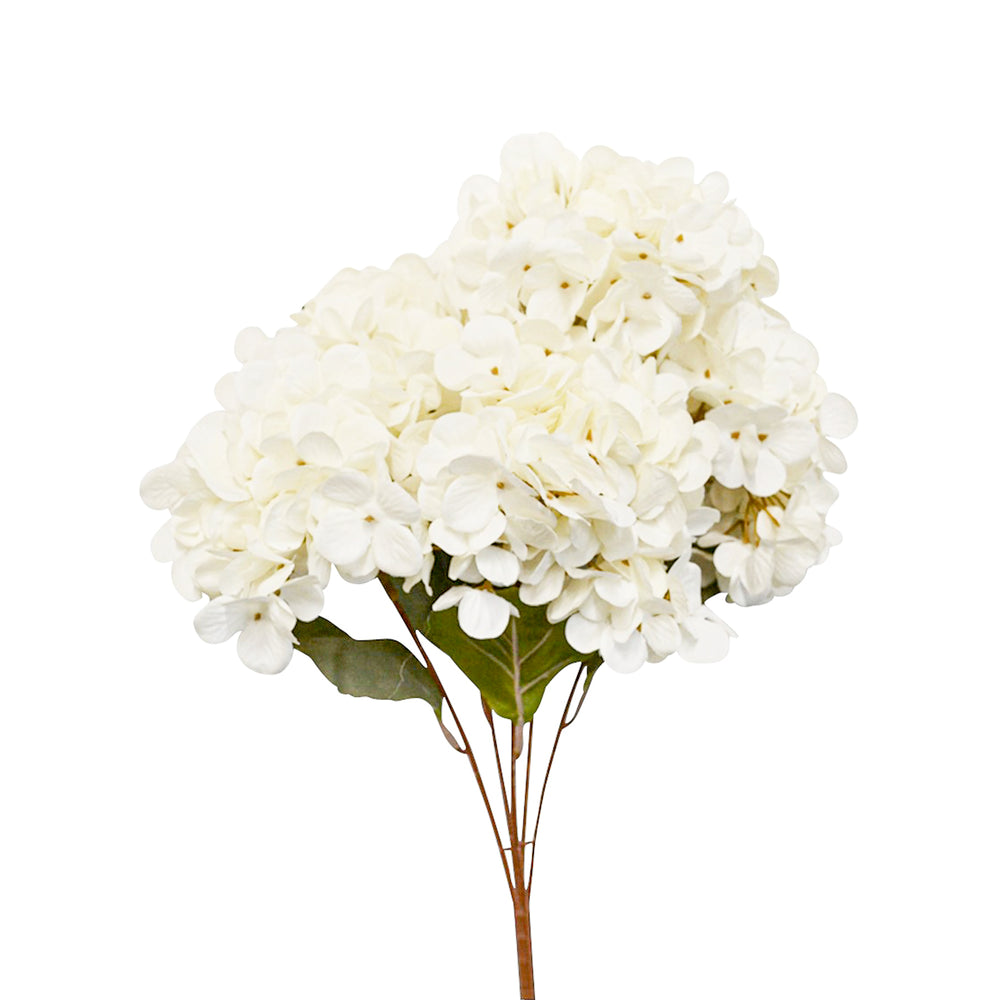 Hydrangea stem - White