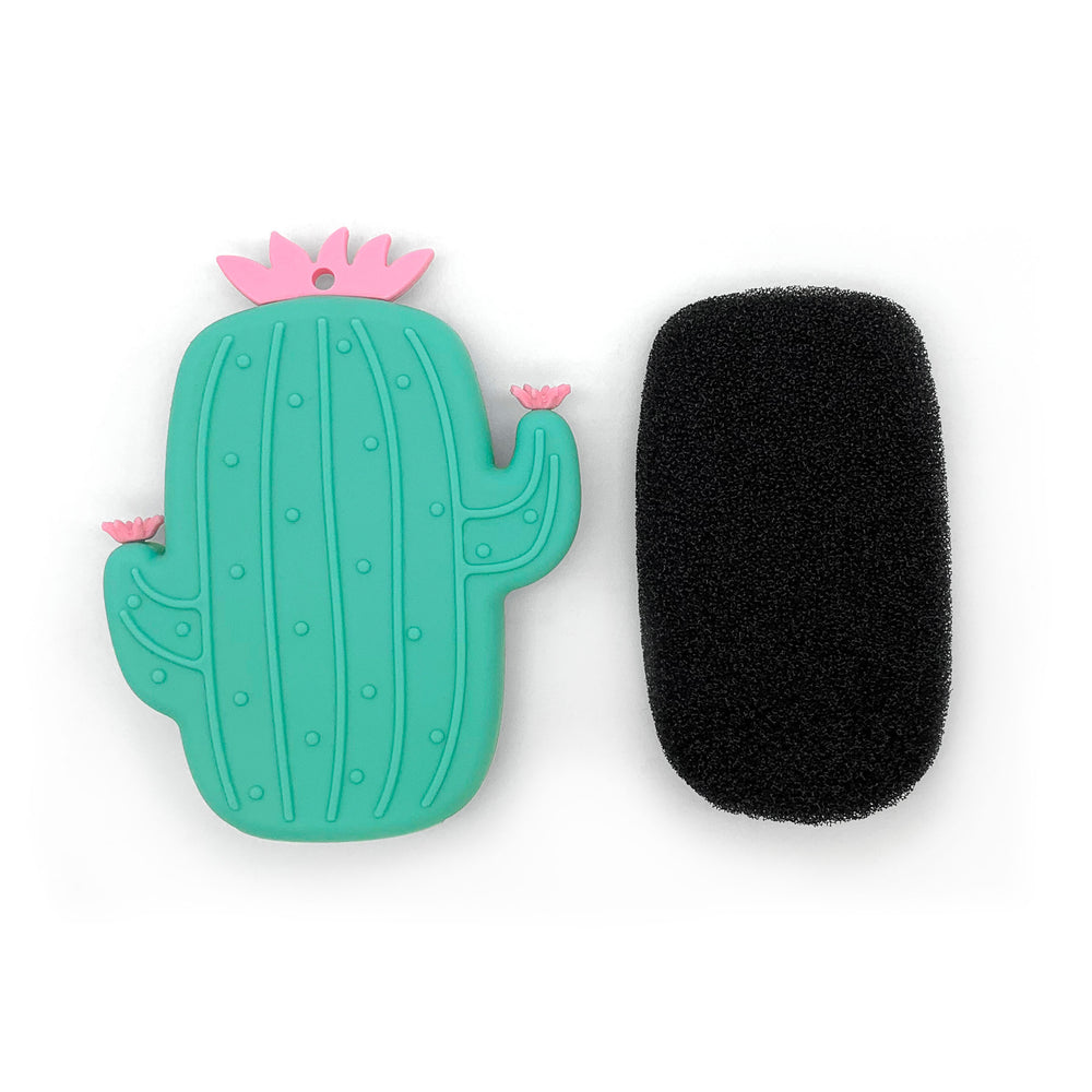 Brosse & éponge - Cactus||Brush & sponge - Cactus