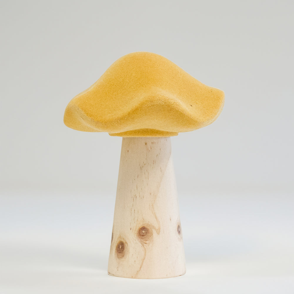 Champignon suède - Jaune