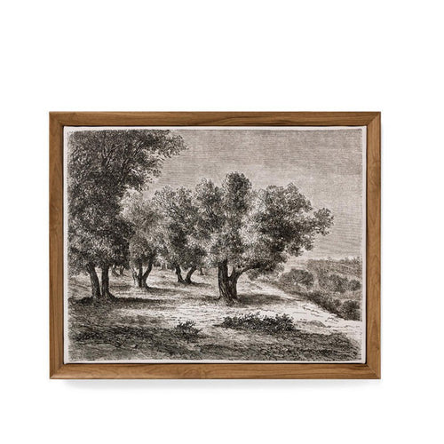 Vintage canvas - Olivier