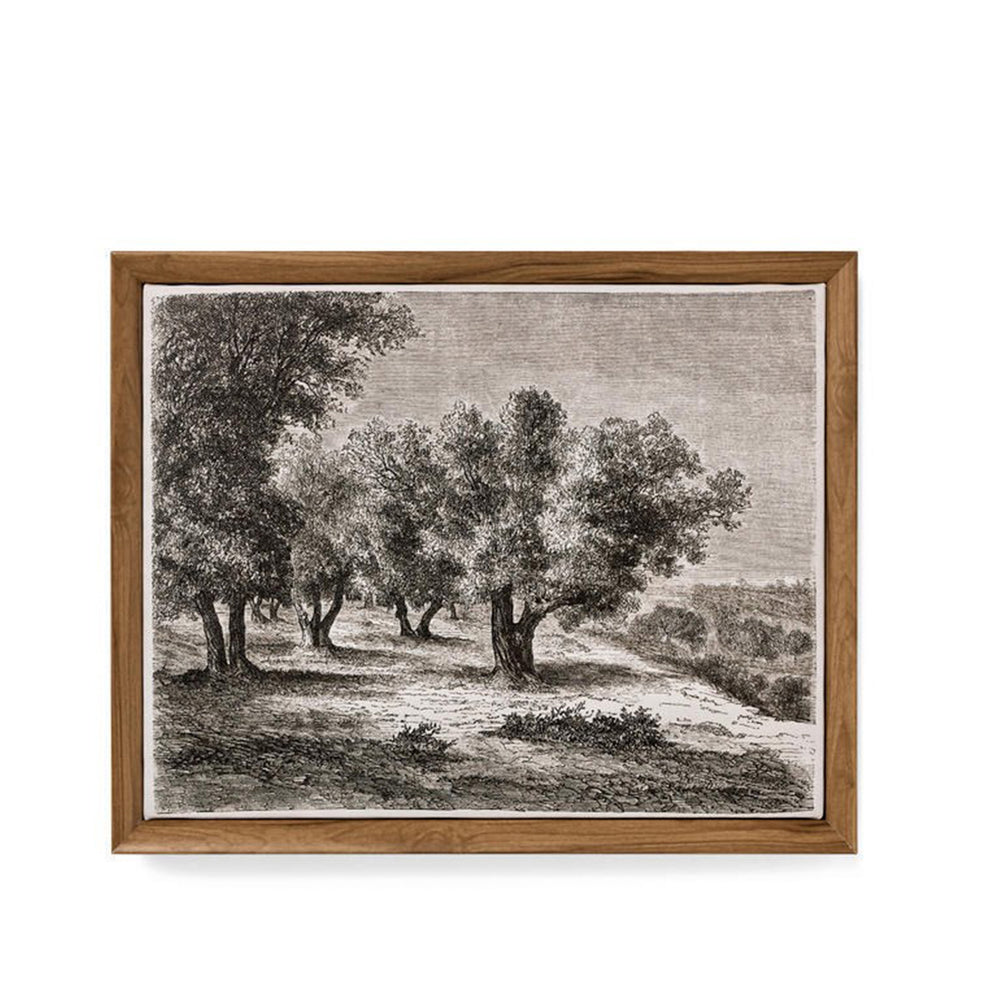 Toile vintage - Olivier