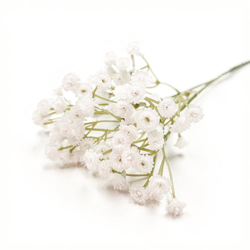 Branche d'allium - Blanc||Allium branch - White