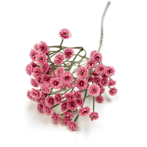 Branche d'allium - Rose||Allium branch - Pink