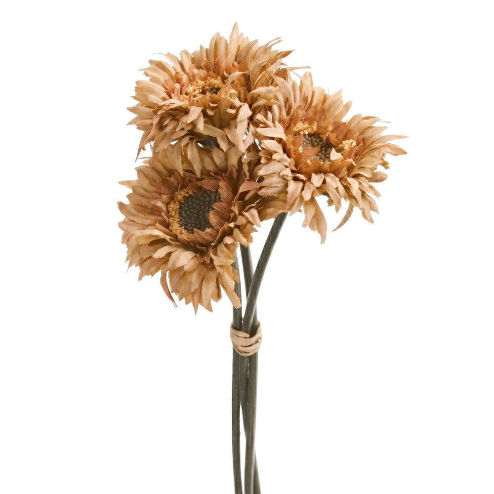 Bouquet de marguerites brunes