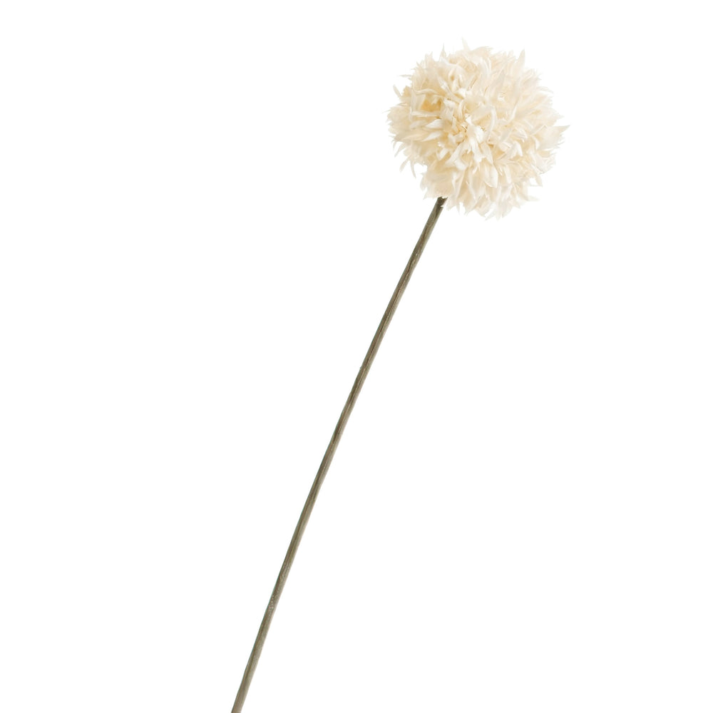 Tige de pompon blanc