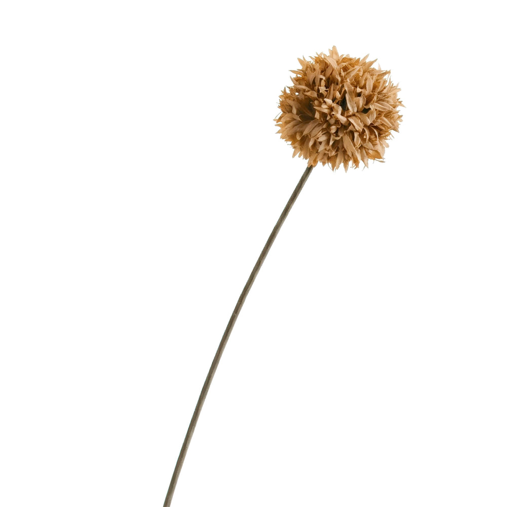 Tige de pompon brun