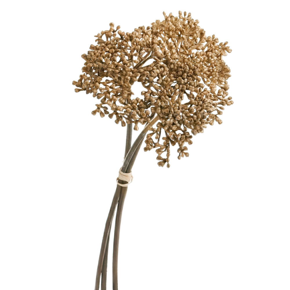Bouquet d’herbe de prairie - Brun