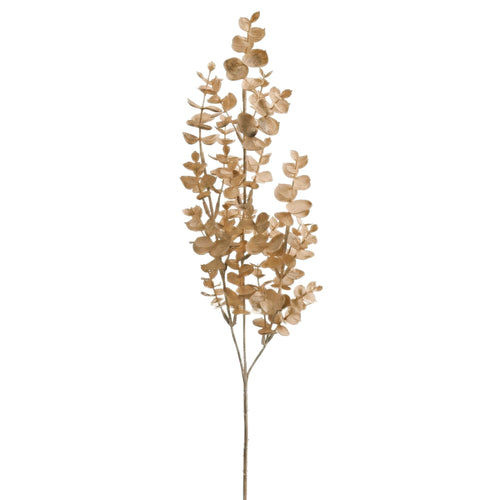 Branche d’eucalyptus - Couleur naturelle