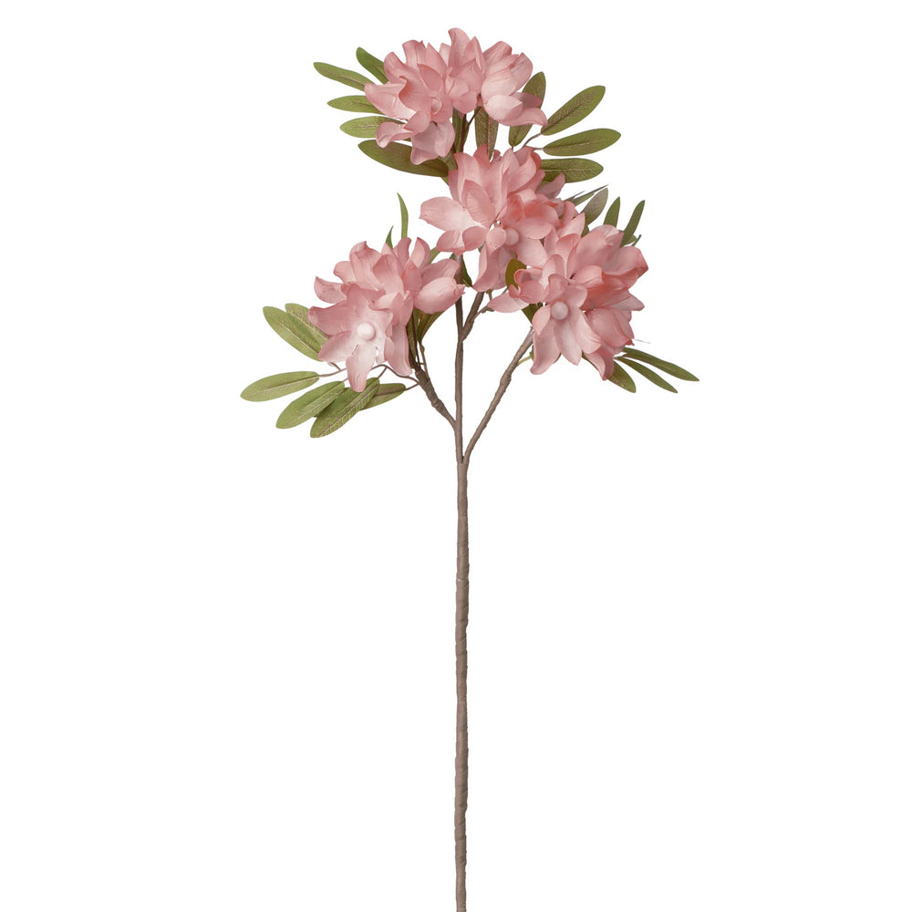 Tige de fleurs de pommier - Rose